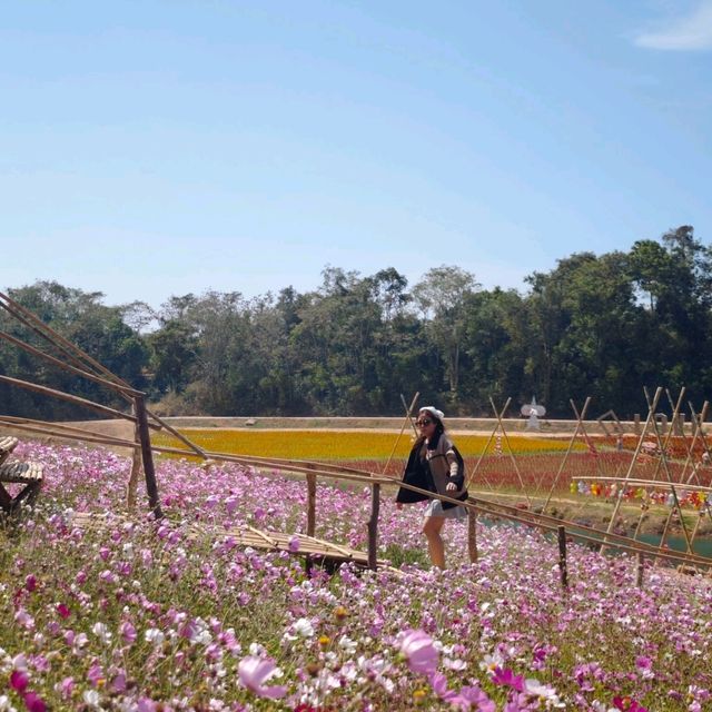 ขุนเขาแห่งดอกไม้เสียงเพลงและสายลม