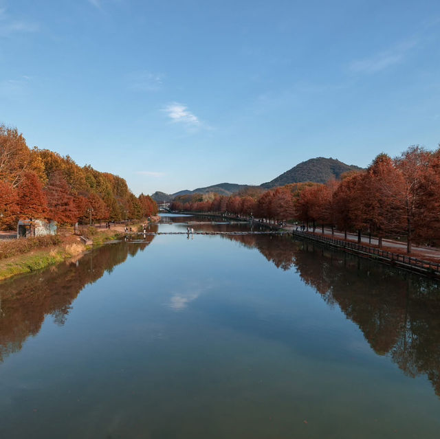 Juknokwon Bamboo Forest (Damyang)