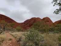 Uluru-Kata Tjuta National Park