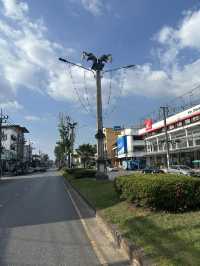 My favorite traffic light ever! Saber-Toothed Tiger Traffic Light: Krabi’s Wildest Landmark 🐯🚦