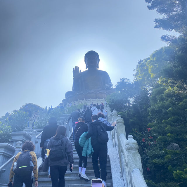 นั่งรถบัสจากสนามบินไปกระเช้า Ngong Ping 36