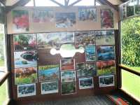 Discover Kids Friendly Malaysia Local Fruit farm at Desaru 