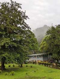 Into the Heart of Borneo: My Adventure in Gunung Mulu National Park