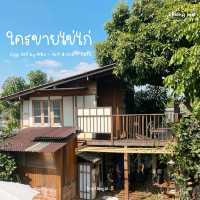 ใครขายไข่ไก่ คาเฟ่บรรยากาศโฮมมี่เชียงใหม่ 🍃🛖