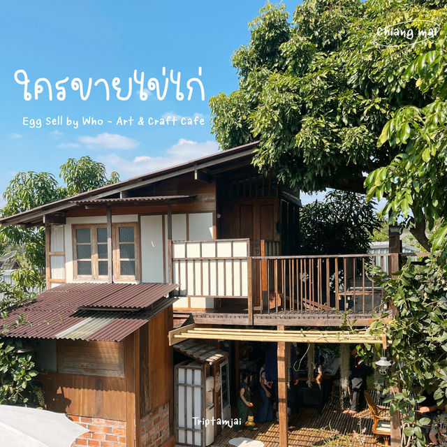 ใครขายไข่ไก่ คาเฟ่บรรยากาศโฮมมี่เชียงใหม่ 🍃🛖
