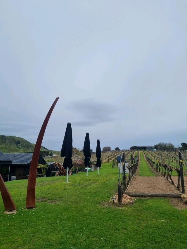 와이헤케 섬 와이너리 투어 - 스토니릿지🇳🇿