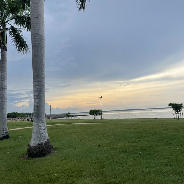 Darwin Trip🐊