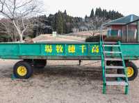 【宮崎県】 霧島連山の麓に広がる大自然の観光牧場『高千穂牧場』