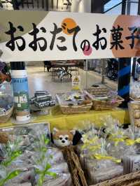 【秋田大館観光】秋田犬の里