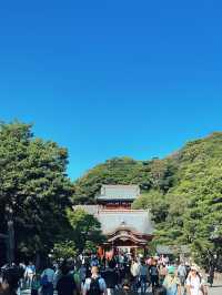 ไหว้พระ ขอพร ที่ศาลเจ้า | คามาคุระ ⛩️🏮