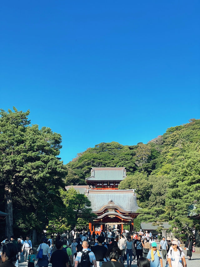 ไหว้พระ ขอพร ที่ศาลเจ้า | คามาคุระ ⛩️🏮