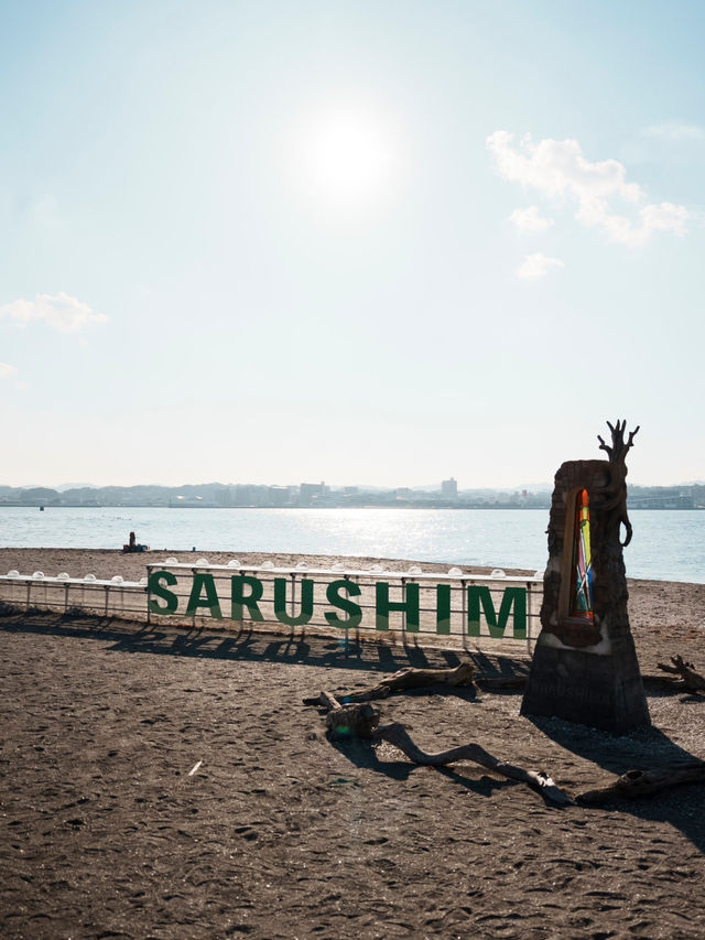 【島旅】まるでラピュタの世界！東京から近い無人島🏝️猿島探検