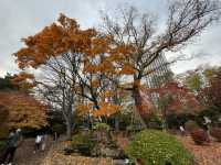 札幌市區賞楓景點～中島公園