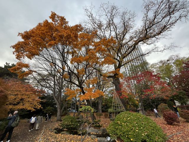札幌市區賞楓景點～中島公園