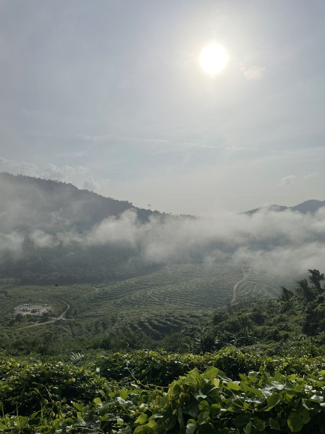 Most beautiful hill view in Bukit Salor Jeli 