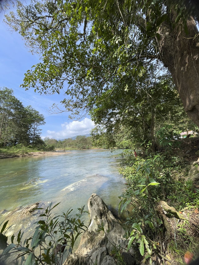 Beautiful river stunning the Mountain view