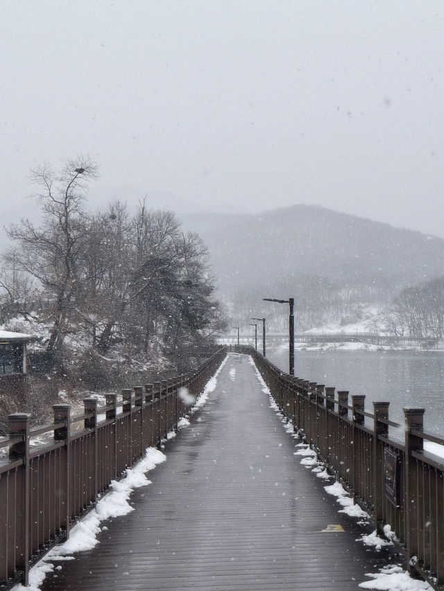 눈으로 뒤덮인 서울근교 드라이브+산책로 추천❄️