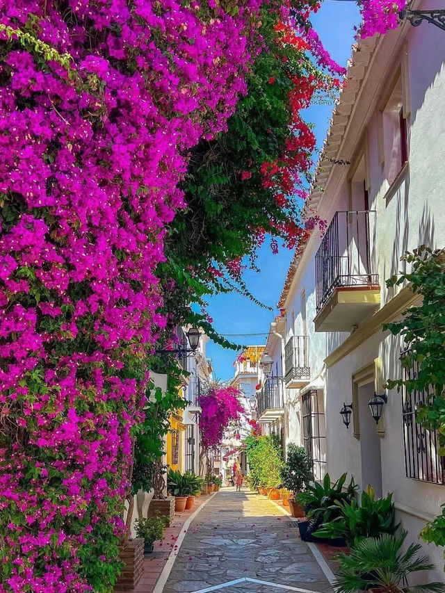 Beautiful Streets in Marbella, Spain 🇪🇸🌺 