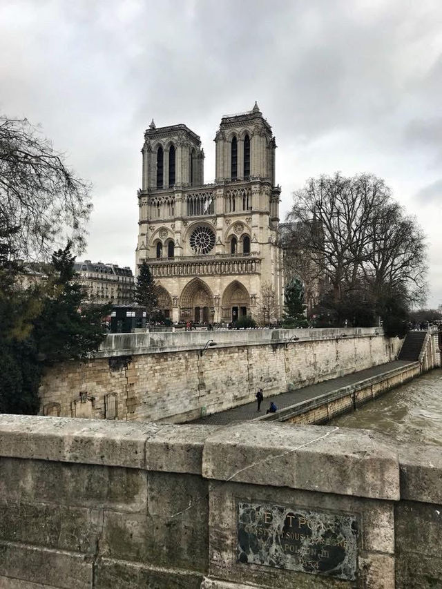 🇫🇷The Iconic Notre Dame Cathedral in Paris🇫🇷
