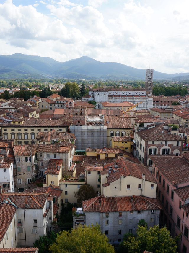 【イタリア・ルッカ】Guinigi Tower （グイニージ塔）