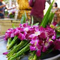 🏮 วัดไชโยวรวิหาร