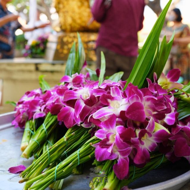 🏮 วัดไชโยวรวิหาร