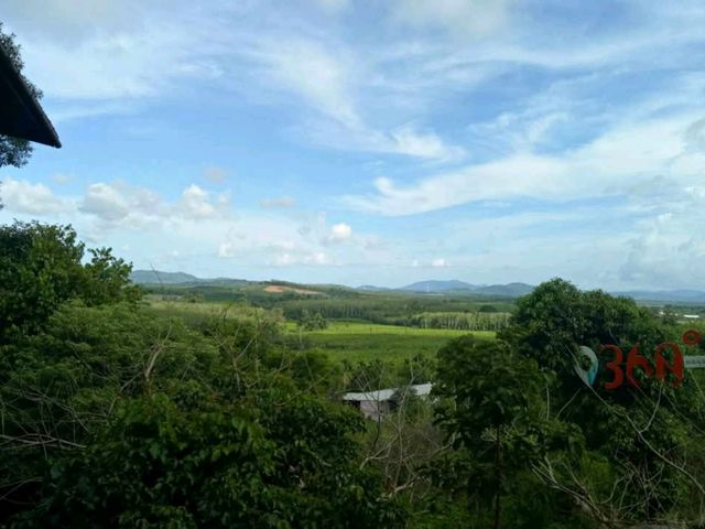 คาเฟ่พังงา บรรยากาศดี วิวสวย ใกล้สะพานสารสิน