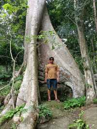 ทริป น้ำตกสวนรุกขชาติน้ำตกสำโรงเกียรติ