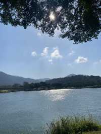 桃園 三坑自然生態公園 🏞️ 自然之景 山明水秀