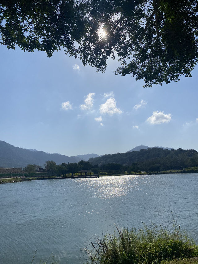 桃園 三坑自然生態公園 🏞️ 自然之景 山明水秀