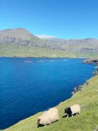 A Journey Through Nature’s Masterpiece: My Visit to the Faroe Islands