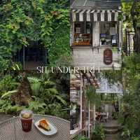 16 คาเฟ่บรรยากาศสุดกรีน “กรุงเทพฯ” ☕️🍃💚