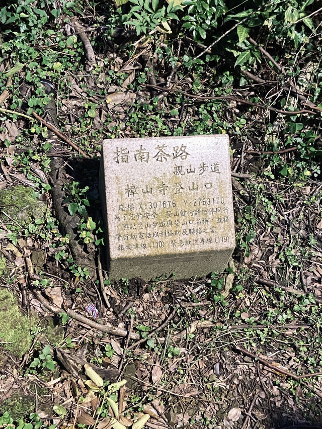 樟山寺漫遊-品茶、賞景與山林靜心之旅