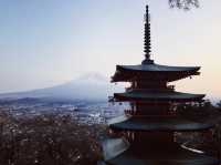 Chureito Pagoda x ซากุระ x ฟูจิ