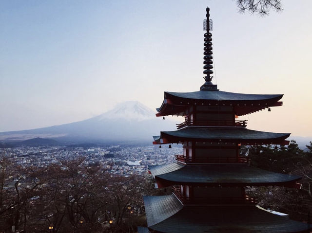 Chureito Pagoda x ซากุระ x ฟูจิ
