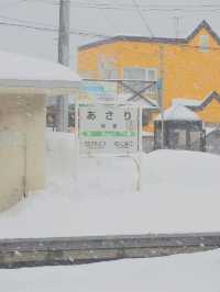 🇯🇵 Winter Magic in Hokkaido: Exploring Sapporo and Otaru’s Snowy Charm
