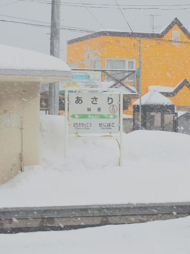 🇯🇵 Winter Magic in Hokkaido: Exploring Sapporo and Otaru’s Snowy Charm