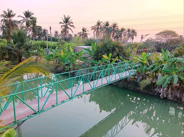 สวนหลังบ้าน