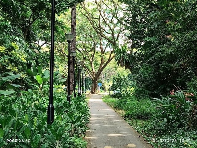 Katong Walkway