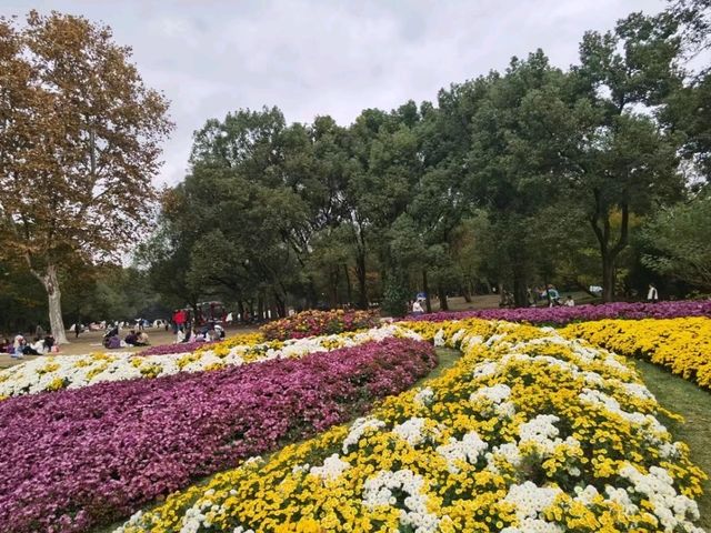 GongQing forest Park