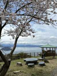 豐島檀山