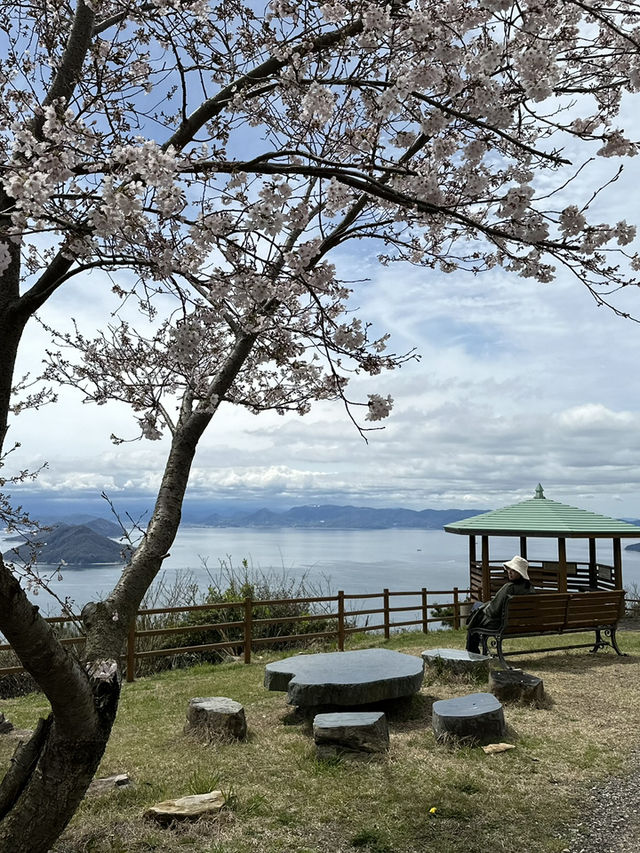 豐島檀山
