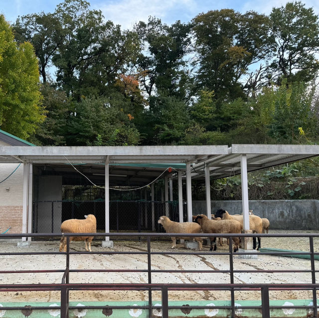哞哞樂園農場～小動物童趣世界