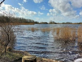 Lauwersmeer National Park