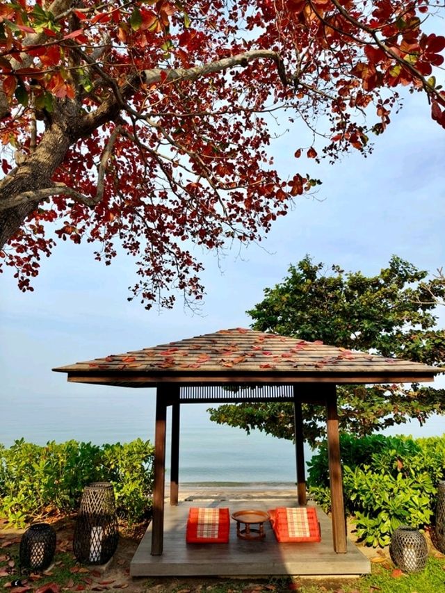 𝐀𝐧𝐝𝐚𝐳 𝐏𝐚𝐭𝐭𝐚𝐲𝐚 รีสอร์ทหรูริมทะเล🌊🏖️