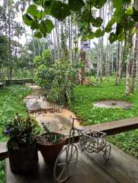  พักกายพักใจ ท่ามกลางธรรมชาติบ้านไร่ไออรุน ระนอง
