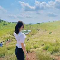 제주도 여행가면 방문해야 하는 <금오름> 🌱