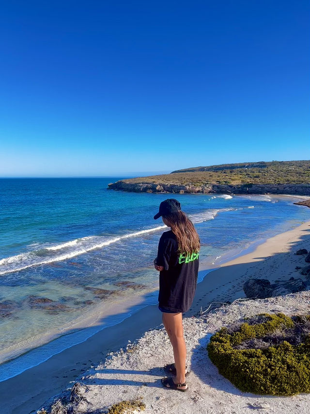 South Australia Road Trip: Sydney to SA🚗🏝️   