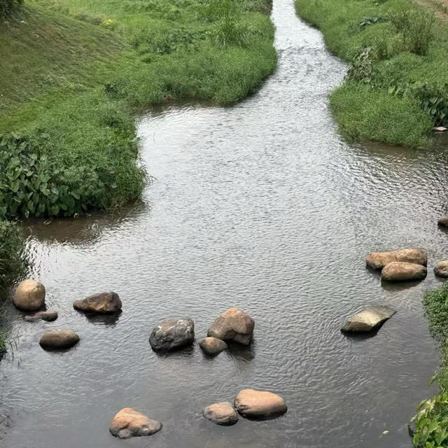 白蓮洞公園～城市綠洲