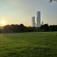 白蓮洞公園～城市綠洲